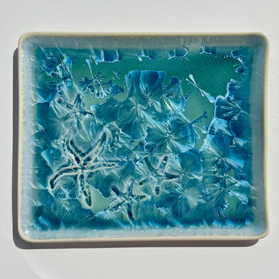 Starfish Platter #N2765