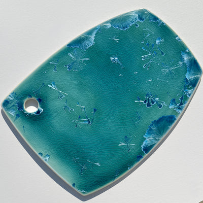 Charcuterie Platter #N2769