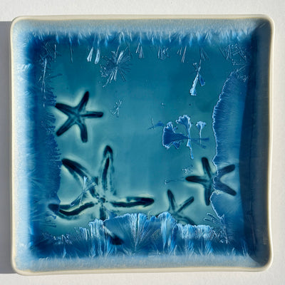 Starfish Platter #N2857