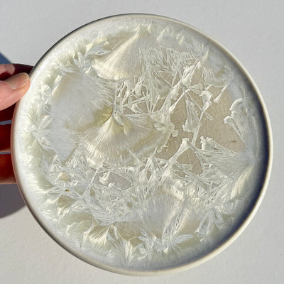 Bread and Butter Plate #N2820