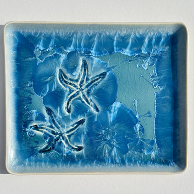 Starfish Platter #N2855