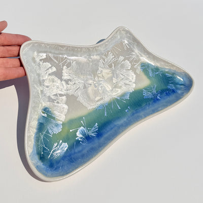 Iceberg Plate #N3016