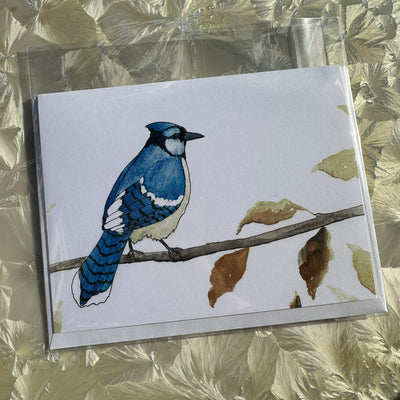 Danica Templeton Art Single Bluejay Card