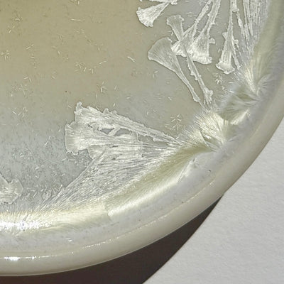 Bread and Butter Plate #N2775