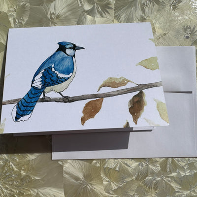 Danica Templeton Art Single Bluejay Card