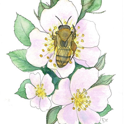 Danica Templeton Art Honey Bee Card