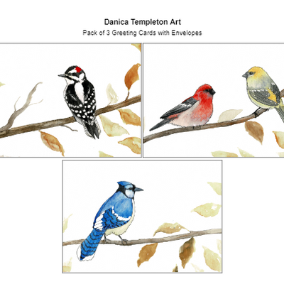 Danica Templeton Art Bird Greeting Cards (3 pack)